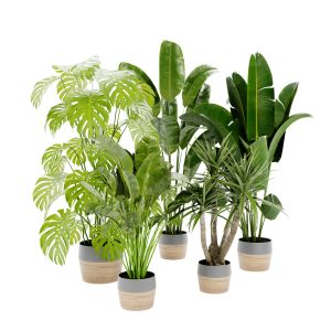 Collection Plant Vol 452 - Blender Model