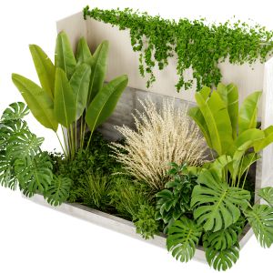 Collection Plant Vol 468 - Blender Model