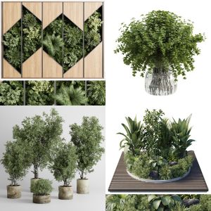pot plant and hanging pot - wall plant collection vol