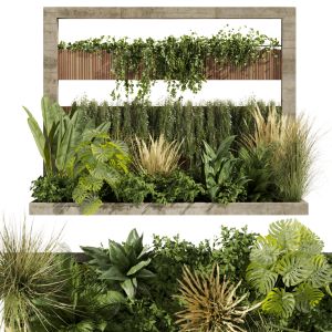 Collection Plant Vol 484 - Garden - Palm - Grass
