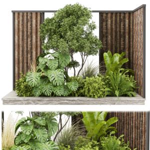 Collection Plant Vol 488 - Garden - Leaf - Palm