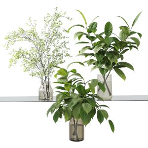 Collection Green Plants Bouquet Indoor 38