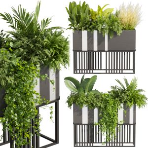 Collection Plant Vol 511 - Pothos - Palm - Grass