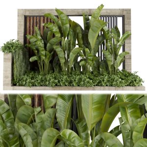 Collection Plant Vol 513 - Garden - Leaf - Banana