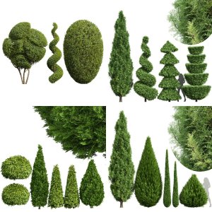 5 Different SETS Of Trees. SET VOL09