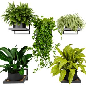 Collection Plant Vol 516 - Blender Model