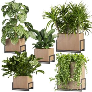 Collection Plant Vol 520 - Box - Palm - Office