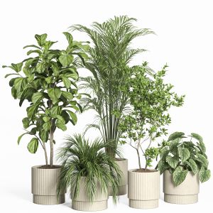 Indoor Plant Set 58-concrete Pot