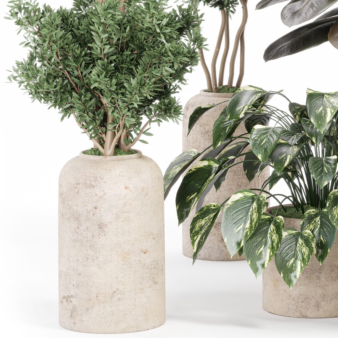 Indoor Plant Set With Plant Tree Concrete Dirt Vas - 3D Model for Corona