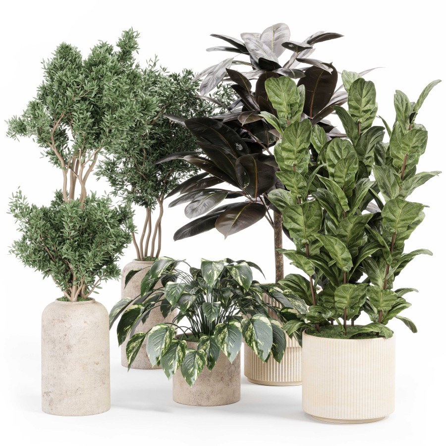 Indoor Plant Set With Plant Tree Concrete Dirt Vas 3D Model for Corona ...