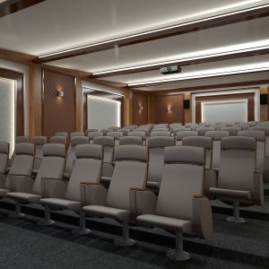 Cinema Hall 01