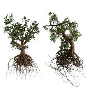 Spooky Witch Trees 3d Model