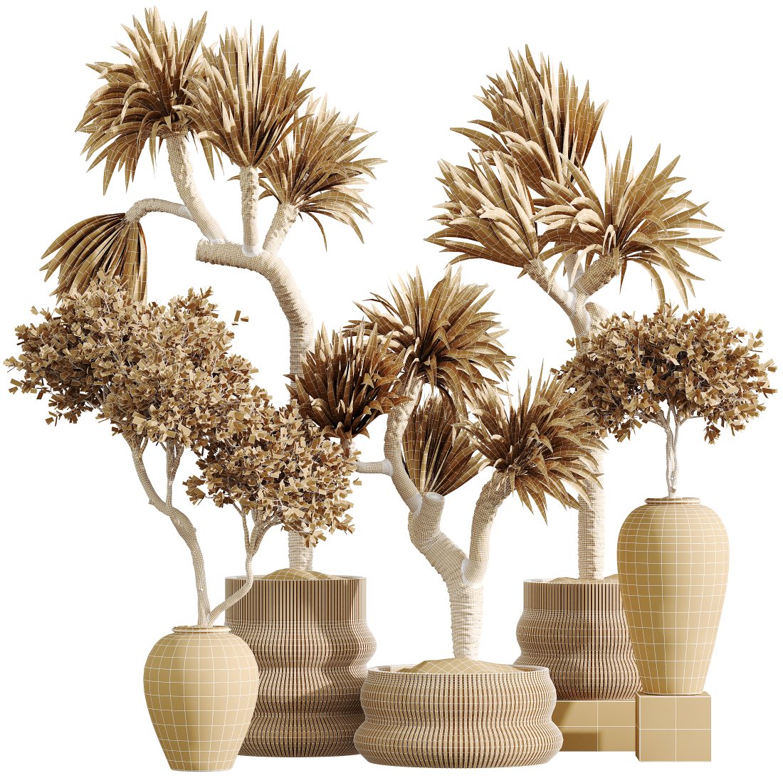 Av Indoor Plants Set 295 Olive Tree Indoor And Yuc 3D Model for