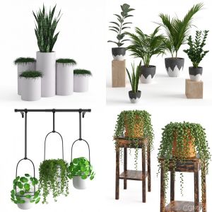 Plants collection vol 6