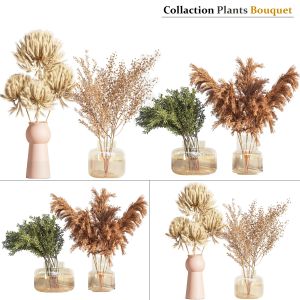Collaction Plants Bouquet 01