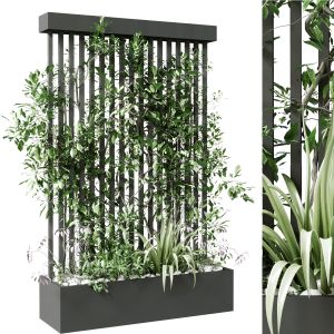 Vertical Plant In Box Set 124