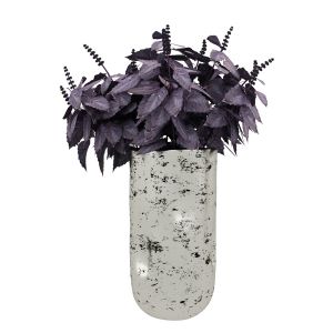 Flowers basil in vase