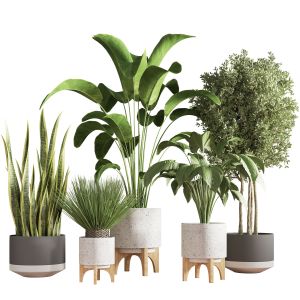 Indoor Plant Stand 27