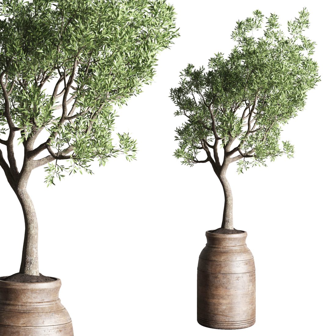 Collection Indoor Plant 151 Old Wooden Vase Tree - 3D Model for VRay ...