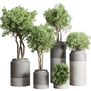 Collection Outdoor Indoor Plant 61 Concrete Vase P