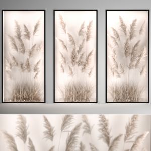 Phyto Box Pampas Grass, Dried Flowers Of Plants