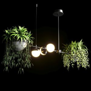 Pendant Light Indoor Plants Pot Light Hanging Pot