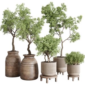Collection Indoor Outdoor Plant 141 Vase Concrete