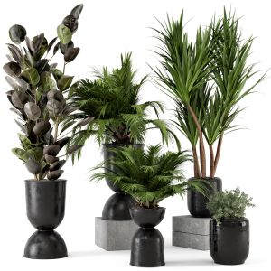 Indoor Plants In Ferm Living Bau Pot Large - 226