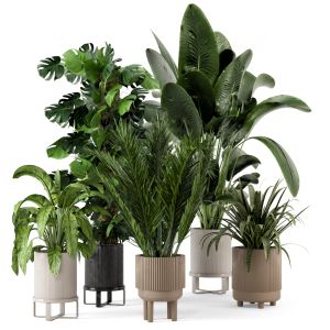 Indoor Plants In Standing Legs Small Bowl 233