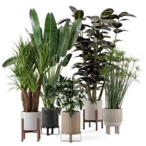 Indoor Plants In Ferm Living Bau Pot Large - 235