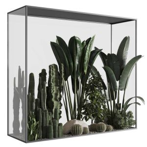 Plants Behind Glass