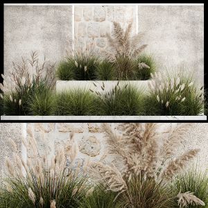 Bushes For Landscaping With Pampas Grass