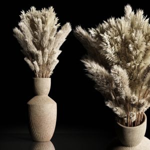 Dry Plants Bouquet Indoor Concrete Vase