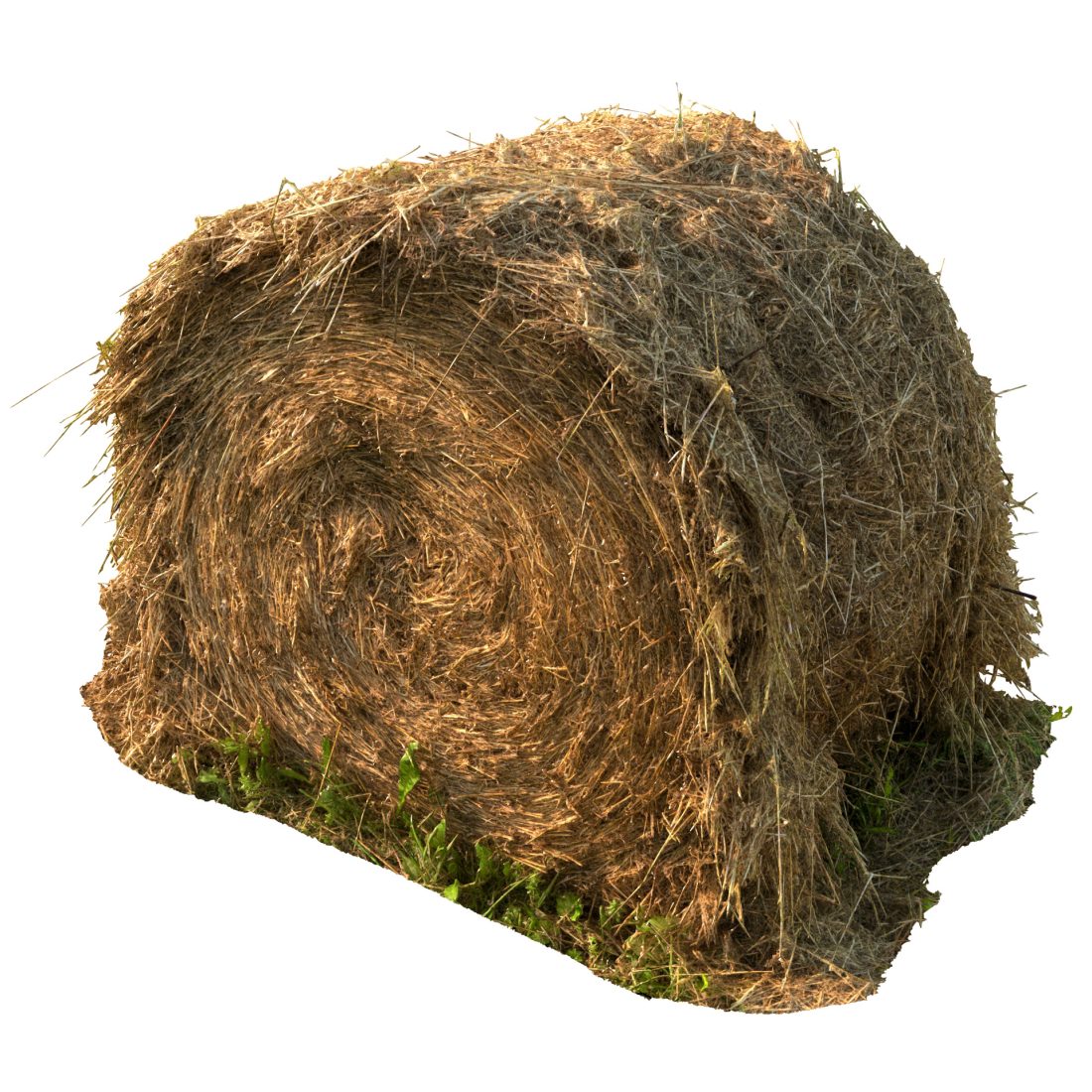 Round Bale Of Hay - 3D Model for VRay, Corona