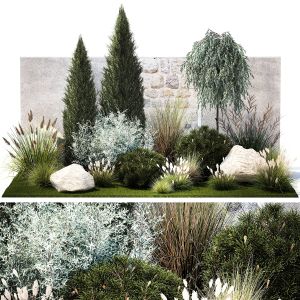 Garden Trees Thuja Pine Bushes Olive Feather Grass
