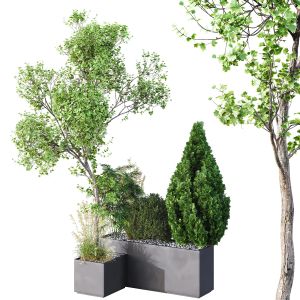 Hq Tree And Bush Garden Box Outdoor  Vol 05