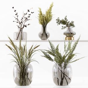 Collection Indoor Plants 048