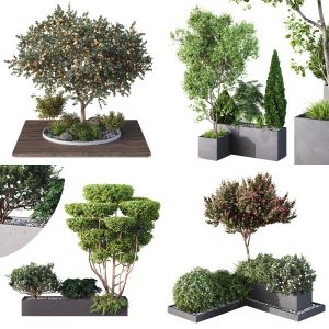 5 Different SETS of Plants Outdoor. SET VOL66