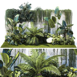 Garden With Exotic Plants Strelitzia Ravenal Palm