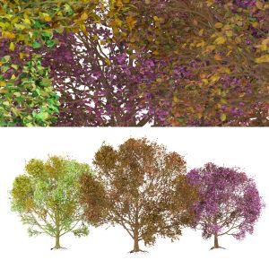 Colorful Trees 3d Models