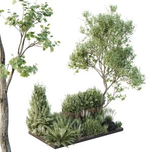 Hq Tree And Bush Garden Box Outdoor  Vol 17