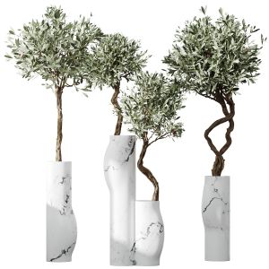 Plants Mission Olive Tree Indoor Vase Set003