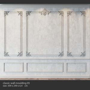 classic wall moulding 05