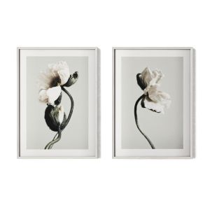 Poster Pair - Flowers
