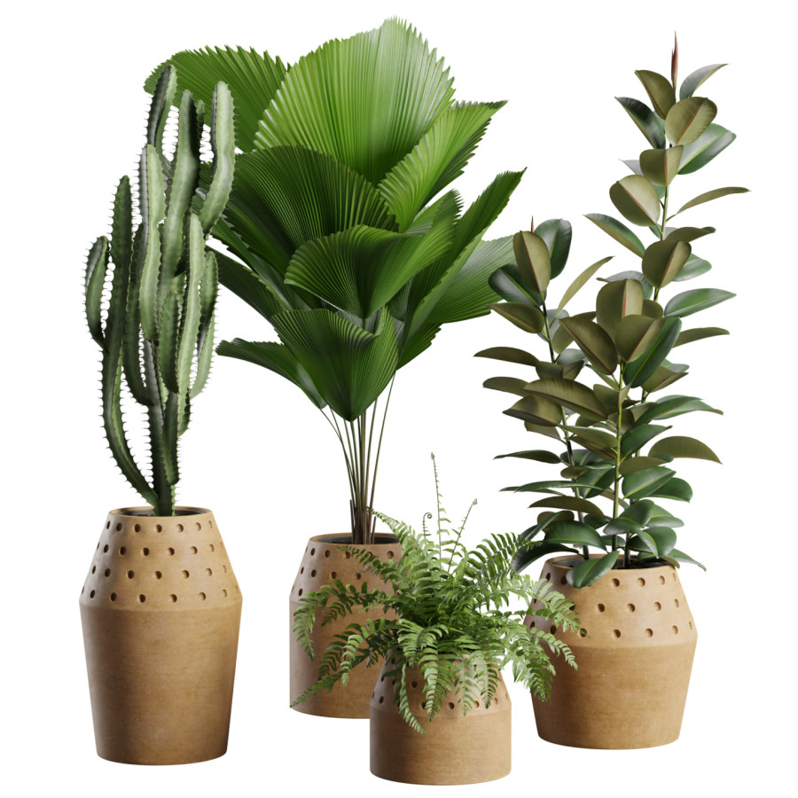 Indoor Plants Pack 99 by AllQuad
