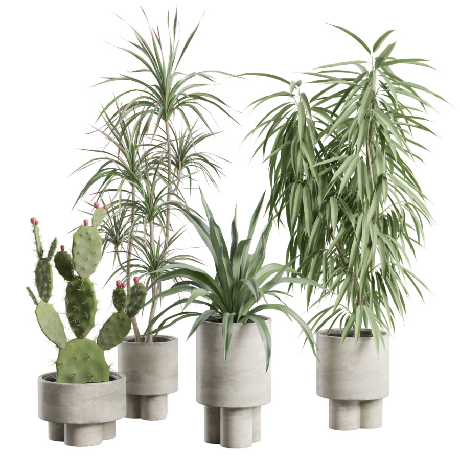 Indoor Plants Pack 100 by AllQuad