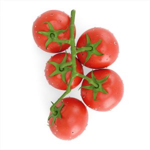 Branch With Red Tomatoes