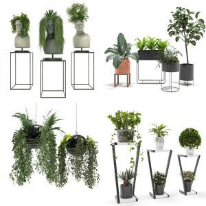 Plant Collection Vol 2