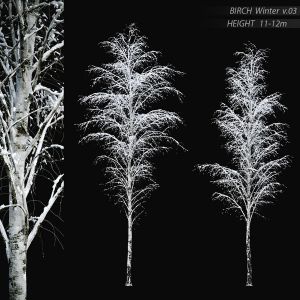 BIRCH Winter V.03 (11-12m)