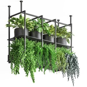 Collection Indoor Plants Hanging Pot Metal 01